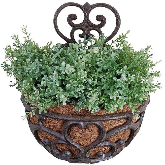 Hovedbilde Klassisk veggplanter