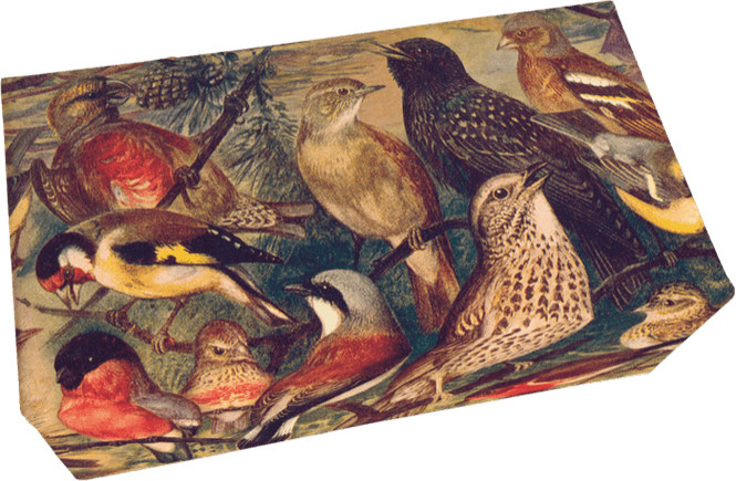 Hovedbilde Såpestykke - Vanilje/Fugler