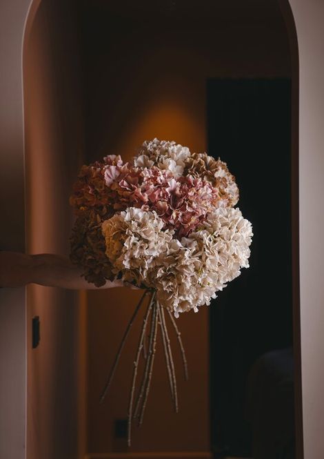 Hovedbilde Hortensia