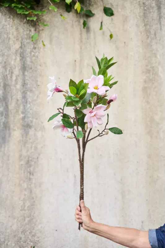 Laurbær stilk 82cm