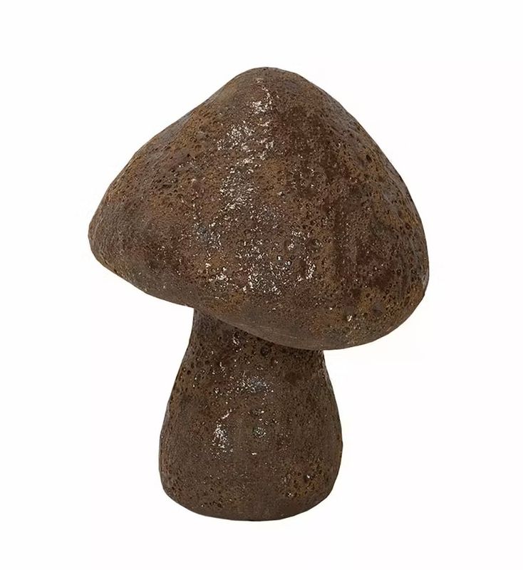 Sopp Morän 20cm
